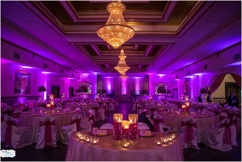 venue - safari texas decor - mandap creations dj - indo raja entertainment photo - pentafour media